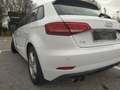 Audi A3 Business Line 2.0 35 TDI Weiß - thumbnail 19