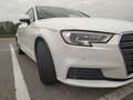 Audi A3 Business Line 2.0 35 TDI Weiß - thumbnail 17