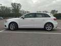 Audi A3 Business Line 2.0 35 TDI Weiß - thumbnail 21