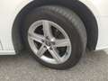 Audi A3 Business Line 2.0 35 TDI Bianco - thumbnail 13