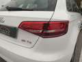 Audi A3 Business Line 2.0 35 TDI Weiß - thumbnail 18