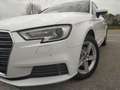 Audi A3 Business Line 2.0 35 TDI Weiß - thumbnail 6