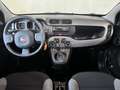 Fiat Panda 1.0 Hybrid City Cross * 12 mnd BOVAG garantie * RI Gris - thumbnail 3