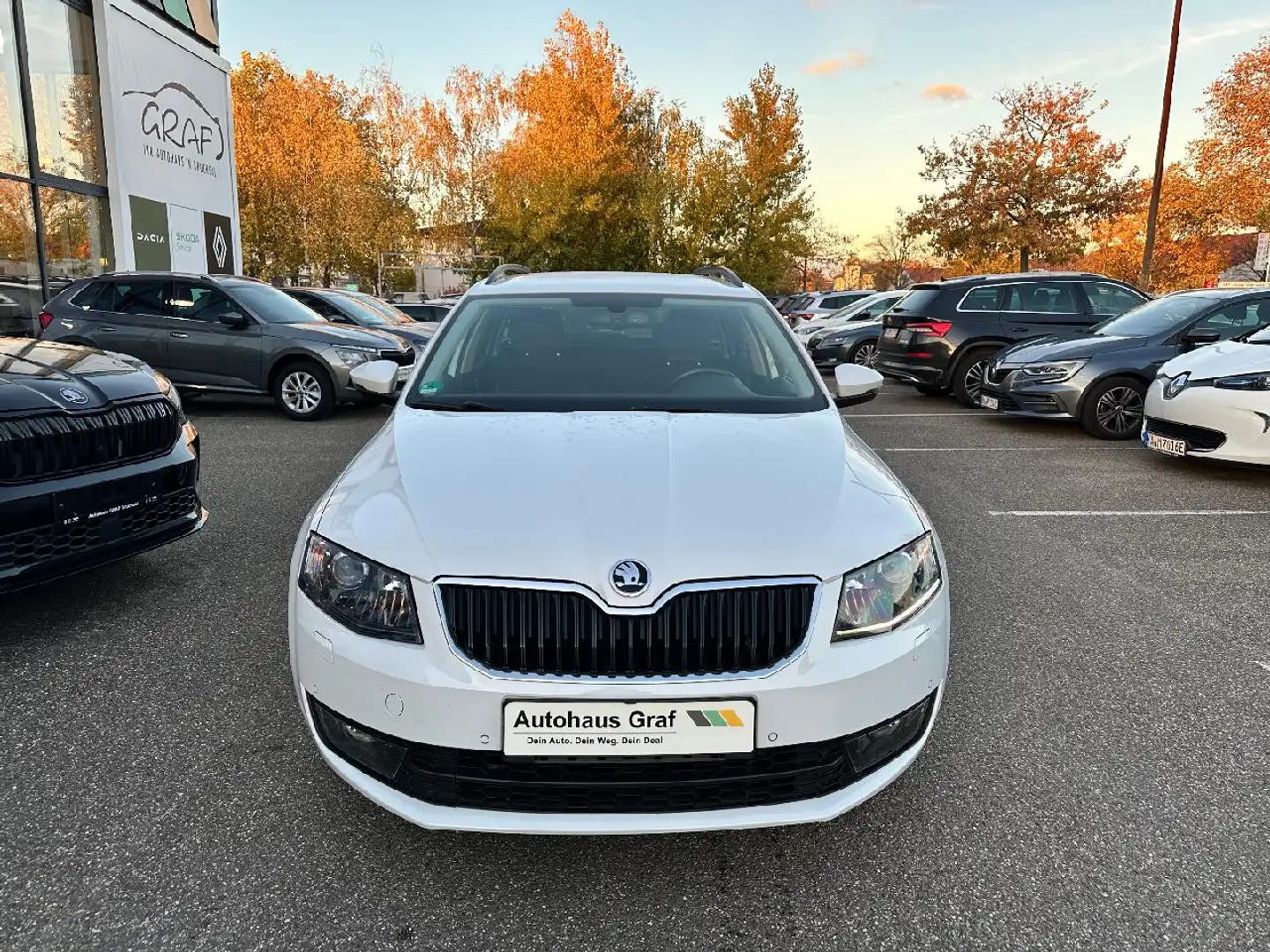 Skoda Octavia Octavia Combi Joy Klima*Navi*SHZ Weiß - 2