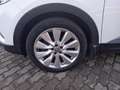 Opel Grandland X Grandland X 1.5 D Start/Stop Automatik Ultimate Weiß - thumbnail 11