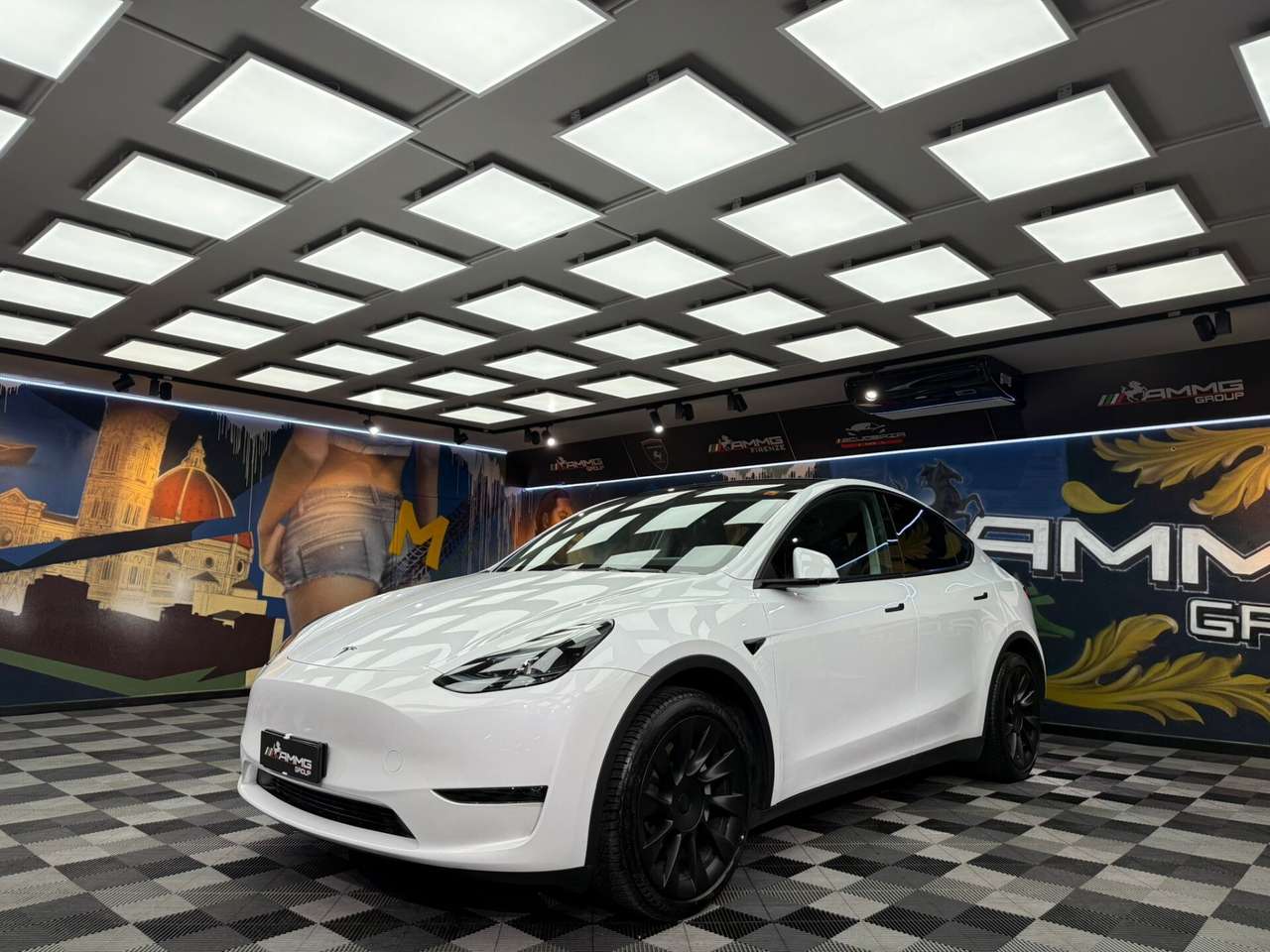 Tesla Model Y Model Y Long Range AWD (634)