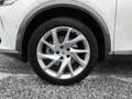 CUPRA Formentor 1.5 TSI +Distr+RKam+KeyGo+LED+PDC Weiß - thumbnail 27