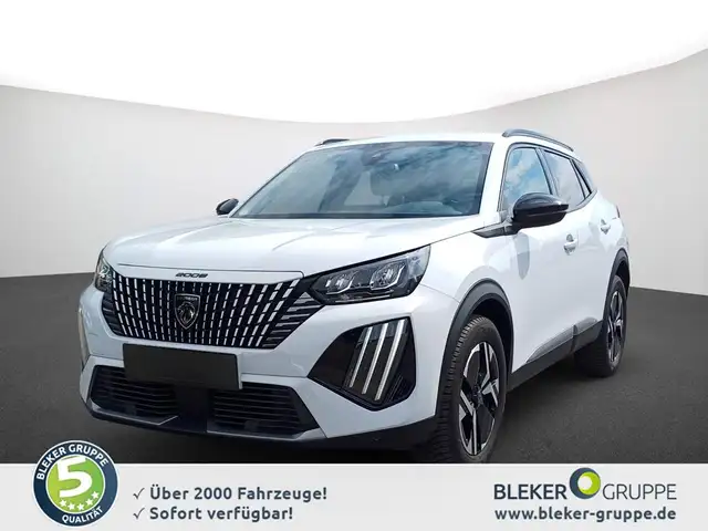 Peugeot 2008 main image