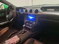 Ford Mustang Ford Mustang 5.0 aut. Europea Colore ed. limitata Verde - thumbnail 6