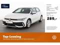 Volkswagen Golf GTI 2.0 TSI OPF Weiß - thumbnail 1