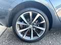 SEAT Leon Leon  1.4 e-Hybrid 204 DSG6 Grau - thumbnail 15