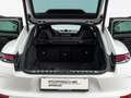 Porsche Panamera 4 E-Hybrid Weiß - thumbnail 15