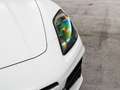 Porsche Panamera 4 E-Hybrid Weiß - thumbnail 13