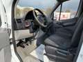 Mercedes-Benz Sprinter Kühlkasten 313 CDI*Klima*Xarios 200* Weiß - thumbnail 11