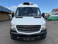 Mercedes-Benz Sprinter Kühlkasten 313 CDI*Klima*Xarios 200* Weiß - thumbnail 10