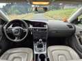 Audi A5 3.0 TDI DPF quattro - thumbnail 5