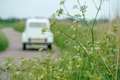 Citroen 2CV 6 Club Wit - thumbnail 21