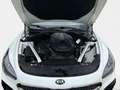 Kia Stinger 2.0 T-GDI GT-Line ACC FLA 360 Bel.Sitz Biały - thumbnail 14