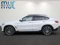 BMW X4 xDrive 30 i xLine~H&K~21''~Standheiz.~ Weiß - thumbnail 7