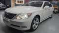Lexus LS 460 Luxury Aut. Weiß - thumbnail 1