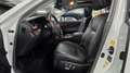 Lexus LS 460 Luxury Aut. Weiß - thumbnail 41