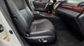 Lexus LS 460 Luxury Aut. Weiß - thumbnail 14