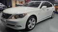Lexus LS 460 Luxury Aut. Weiß - thumbnail 10