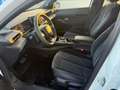 Lancia Ypsilon Hybrid e-DCT LX Bianco - thumbnail 11