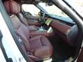 Land Rover Range Rover P530 LWB Autobio*FondEntert*AHK*23Zo Weiß - thumbnail 11