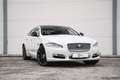 Jaguar XJ 3,0 Premium Luxury Grau - thumbnail 48