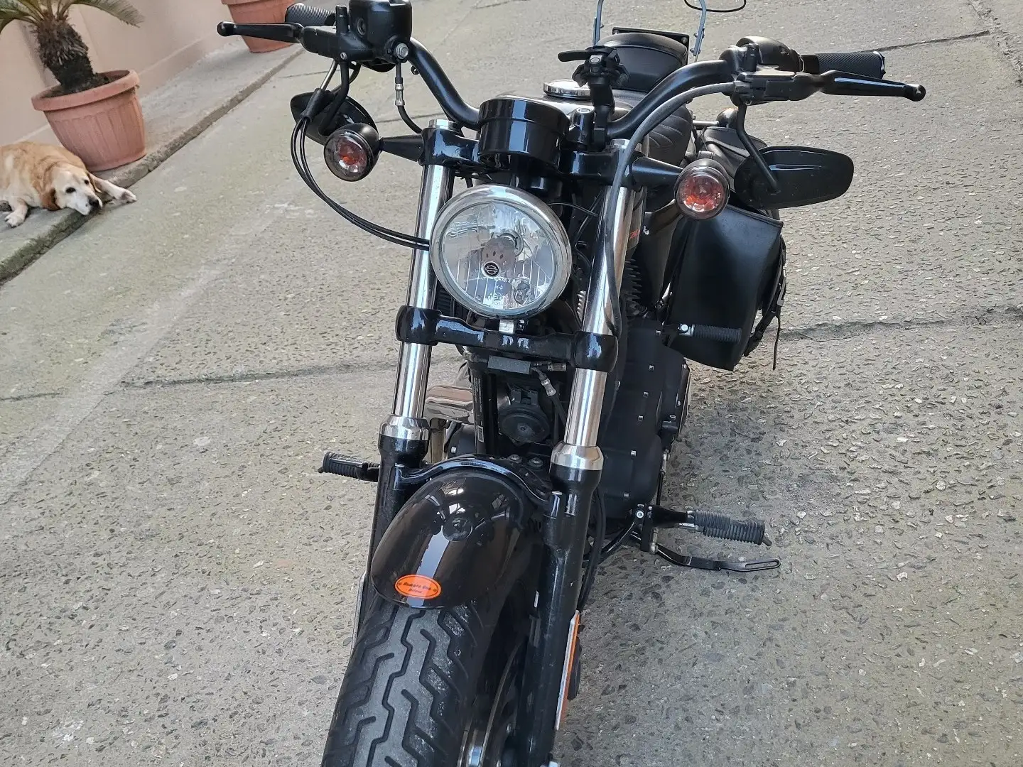 Harley-Davidson Sportster Forty Eight Black - 2