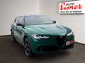 Alfa Romeo Stelvio 2.9 V6 Bi-Turbo Quadrifoglio Q4 2xKlima Grün - thumbnail 18