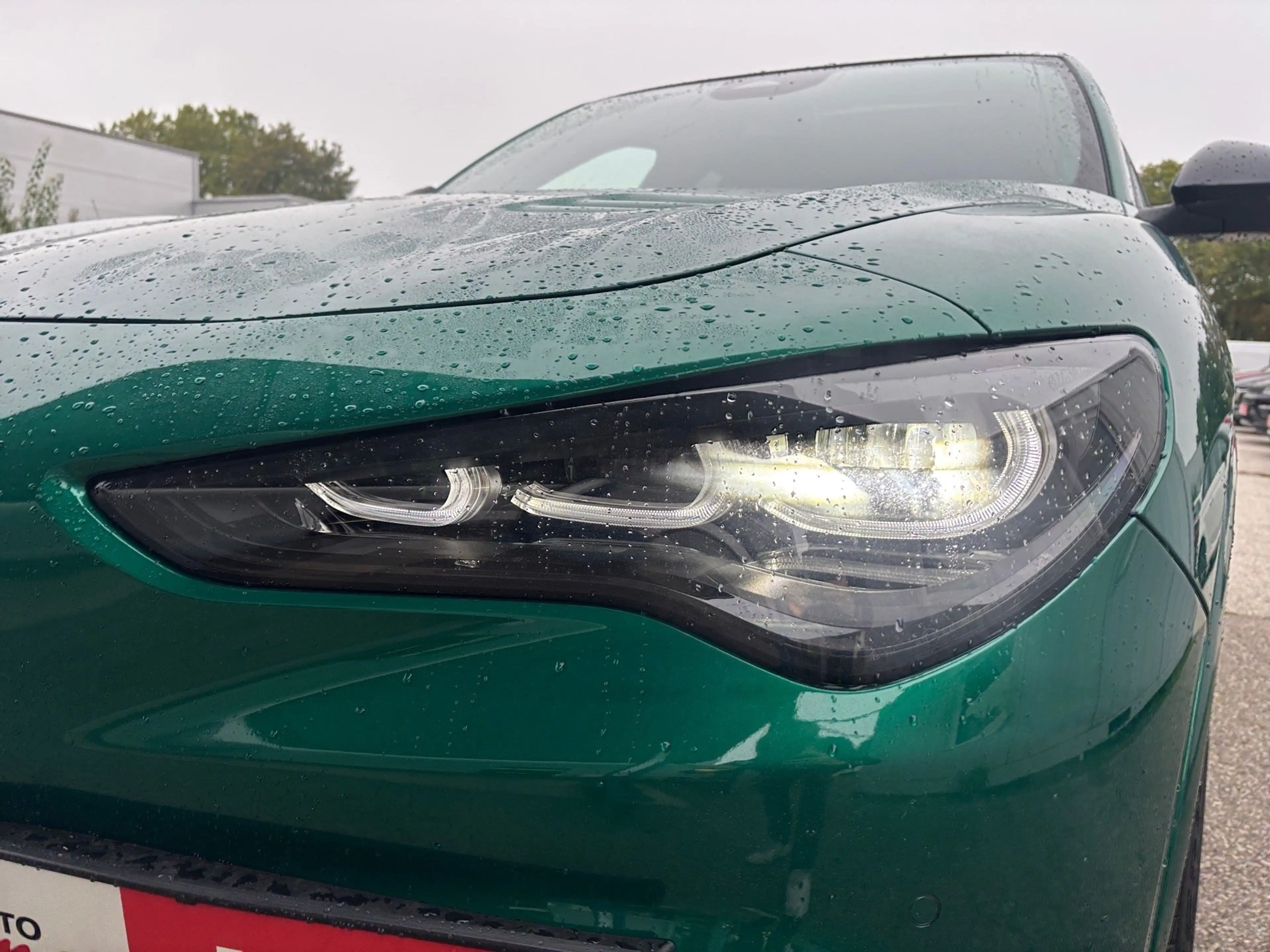 Alfa Romeo Stelvio 2.9 V6 Bi-Turbo Quadrifoglio Q4 2xKlima — photo 4