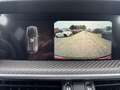 Alfa Romeo Stelvio 2.9 V6 Bi-Turbo Quadrifoglio Q4 2xKlima Grün - thumbnail 20