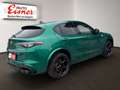 Alfa Romeo Stelvio 2.9 V6 Bi-Turbo Quadrifoglio Q4 2xKlima Grün - thumbnail 14