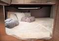 Volkswagen Knaus Tourer Van 500 MQ Vansation 2.0 TDi DSG Grey - thumbnail 6