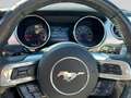Ford Mustang 2.3 EcoBoost Convertible Schwarz - thumbnail 10