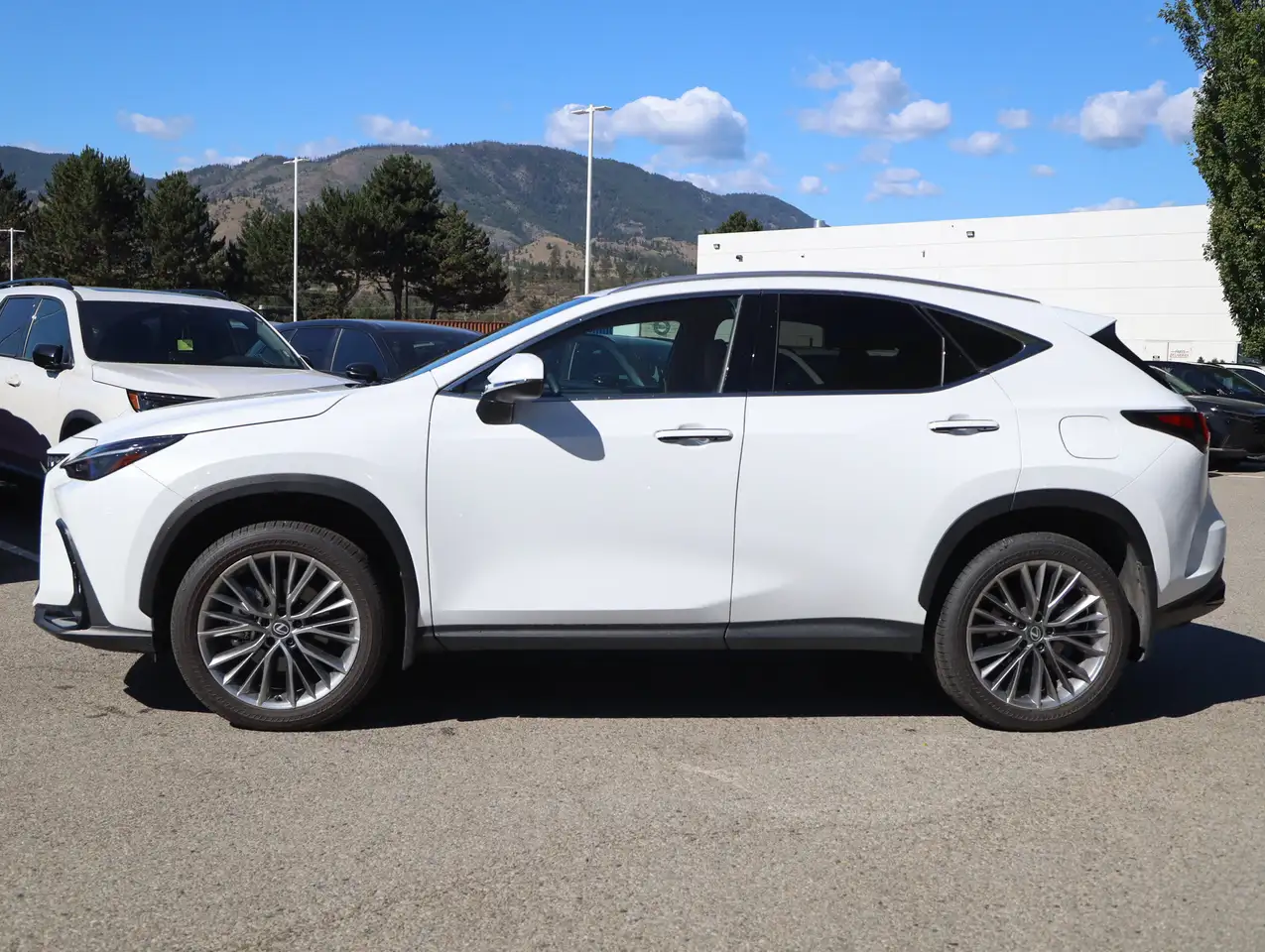 Lexus NX снимка Lexus NX