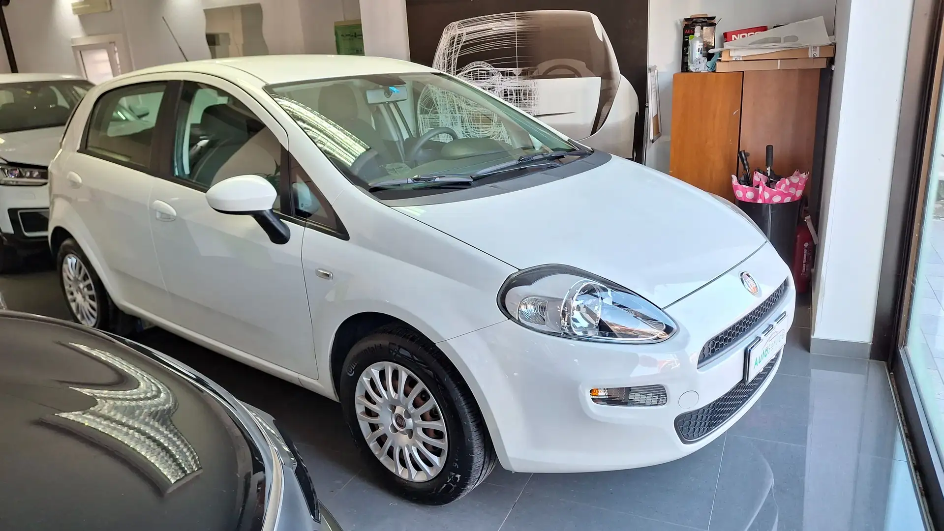 Fiat Punto Punto 5p 1.2 Street Bianco - 2