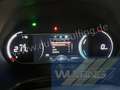 Kia Soul Autom. Edition 7 3-Phasen ACC Kamera LED-SW Grey - thumbnail 12