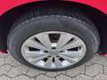 Volkswagen Golf Variant 1.6 TDI Comfortline 110CV*EURO6 Rot - thumbnail 14