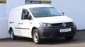 Volkswagen Caddy 2.0 TDI Nfz Maxi Kasten NAVI Tempomat Weiß - thumbnail 3