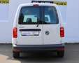 Volkswagen Caddy 2.0 TDI Nfz Maxi Kasten NAVI Tempomat Weiß - thumbnail 6