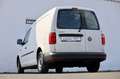 Volkswagen Caddy 2.0 TDI Nfz Maxi Kasten NAVI Tempomat Weiß - thumbnail 7