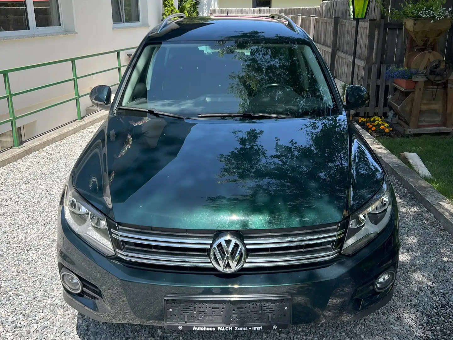 Volkswagen Tiguan Track & Style Grün - 2