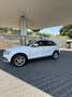 Audi Q5 2.0 tdi Advanced Plus quattro 177cv s-tronic - thumbnail 12