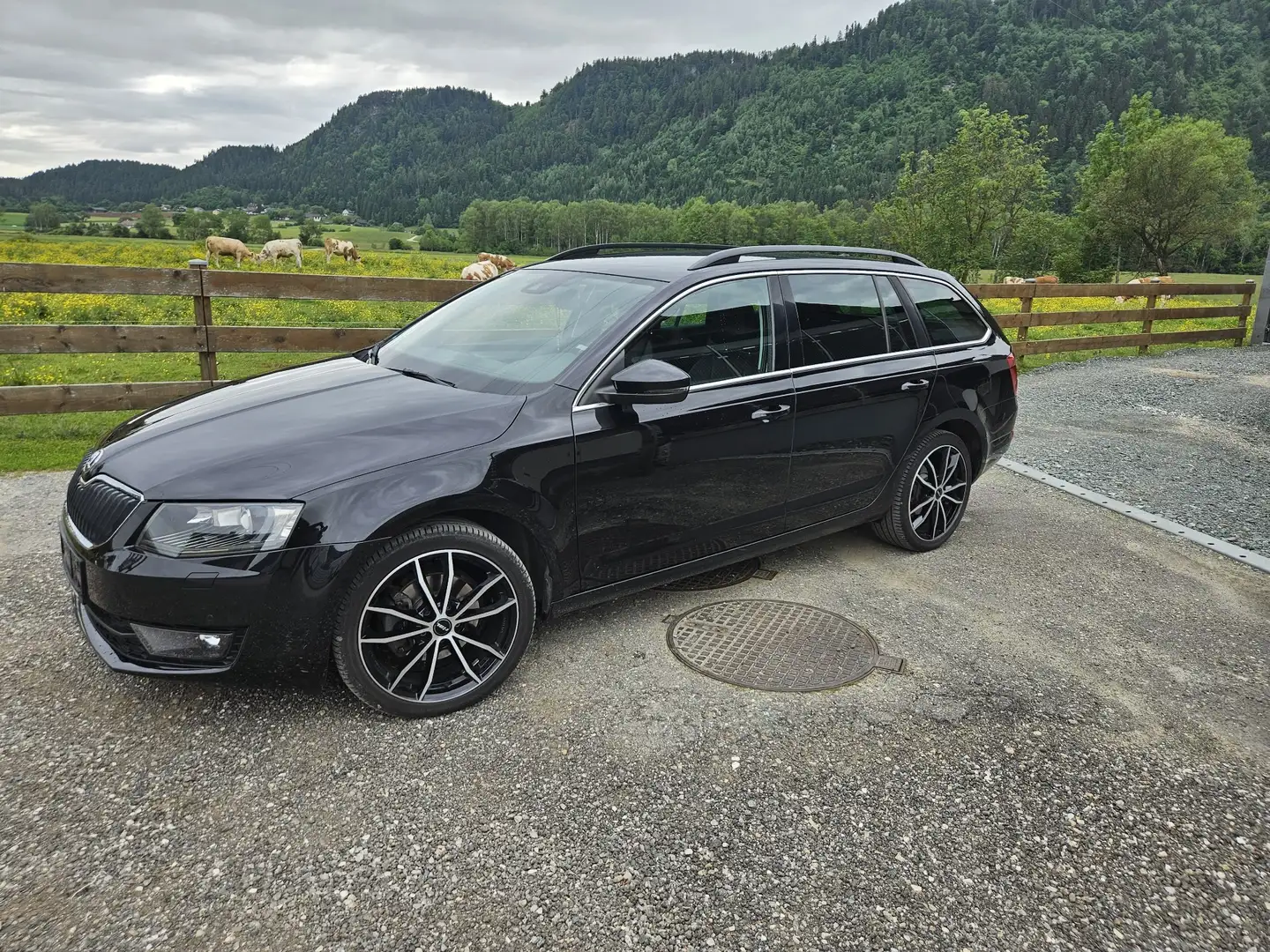 Skoda Octavia Combi 2,0 Elegance TDI 4x4 Green tec - 1