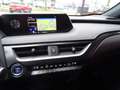 Lexus UX 250h Edition Hybrid automaat Grijs - thumbnail 28