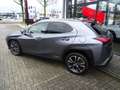 Lexus UX 250h Edition Hybrid automaat Grijs - thumbnail 7