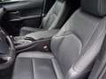 Lexus UX 250h Edition Hybrid automaat Grijs - thumbnail 26